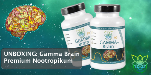 VITARAGNA Gamma Brain 90 Kapseln, Gehirn-Booster für mehr Konzentration, Gedächtnis, Aufmerksamkeit, Leistung, Fokus. Gehirndoping Nootropikum pur, clean, glutenfrei, sojafrei, milchfrei, erdnussfrei