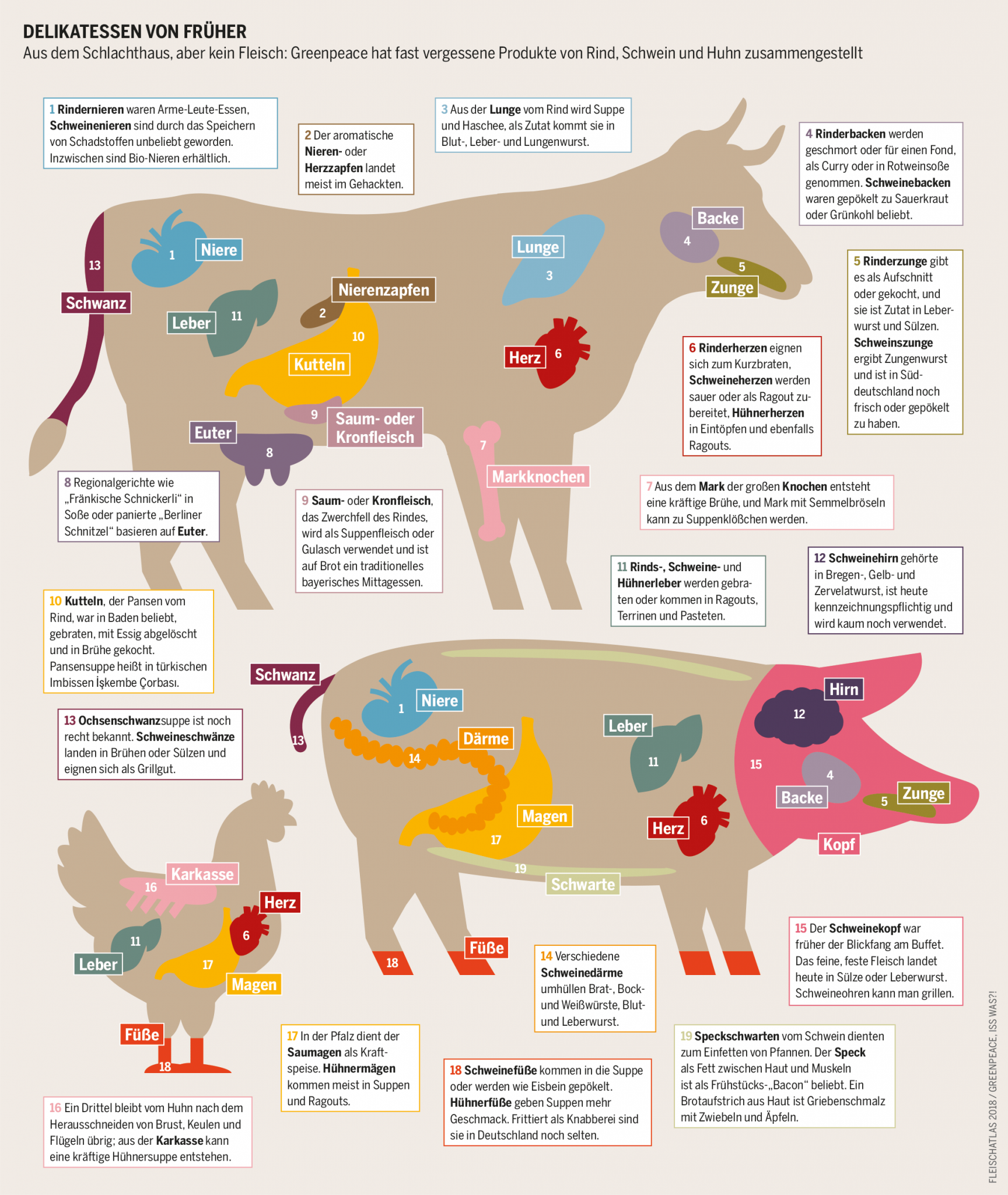 Über Fleisch und die Welt