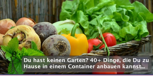 Du hast keinen Garten? 40+ Dinge, die Du zu Hause in einem Container anbauen kannst...