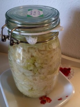 Sauerkraut Ferment