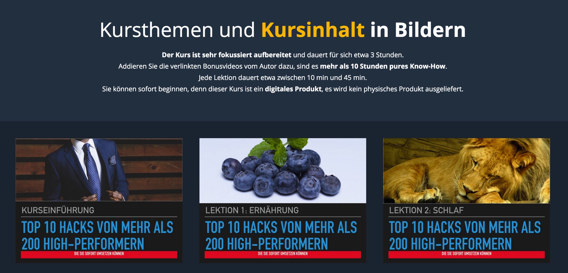 Kursinhalt: High-Performer Kurs