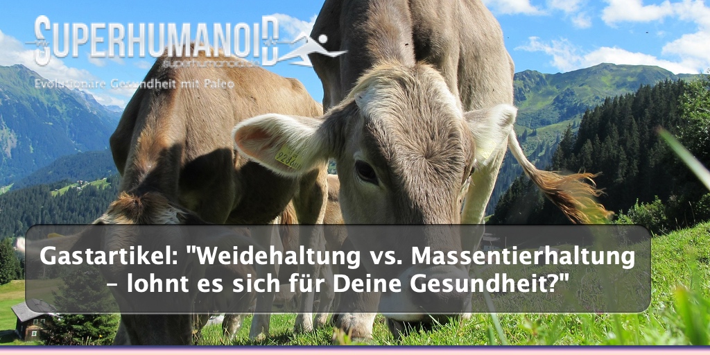 Weidehaltung vs. Massentierhaltung – lohnt es sich für Deine Gesundheit?